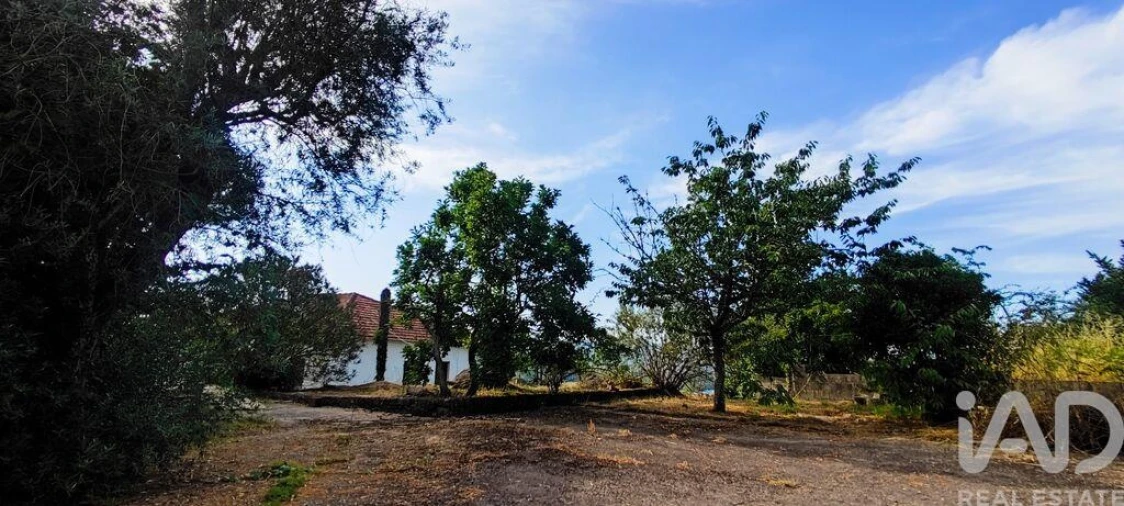 Moradia T3 para Venda em Loivo Foto 7