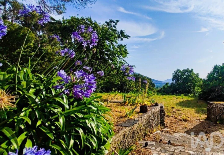 Moradia T3 para Venda em Loivo Foto 25