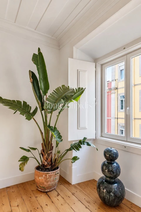 Apartamento T3 para Venda em Estrela