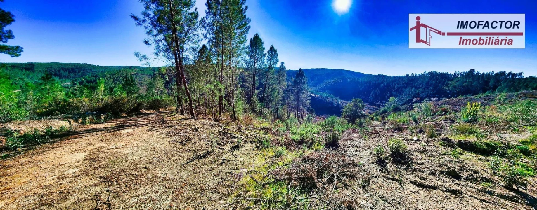 Terreno para Venda em Santo Andre das Tojeiras Foto 11