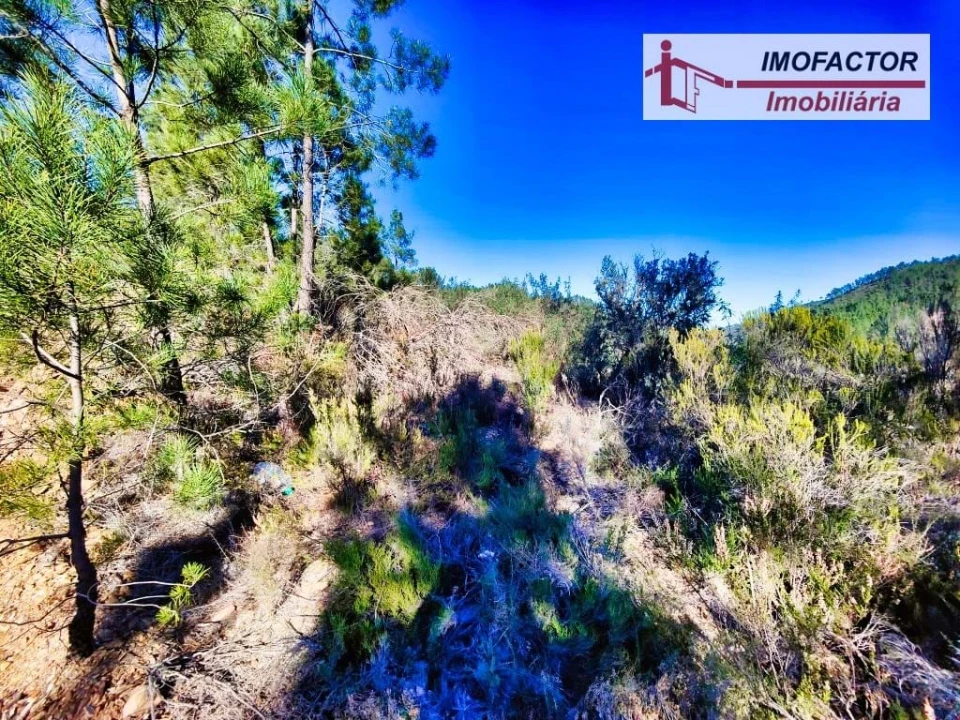 Terreno para Venda em Santo Andre das Tojeiras Foto 8