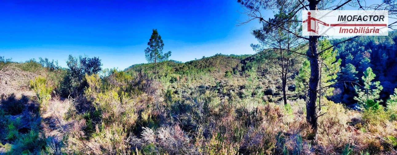 Terreno para Venda em Santo Andre das Tojeiras Foto 12