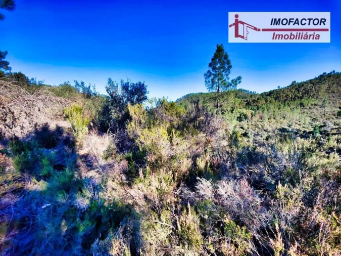 Terreno para Venda em Santo Andre das Tojeiras Foto 2