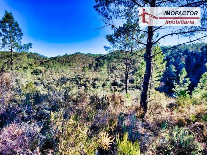 Terreno para Venda em Santo Andre das Tojeiras Foto 7