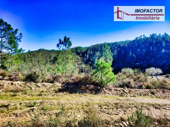 Terreno para Venda em Santo Andre das Tojeiras Foto 10