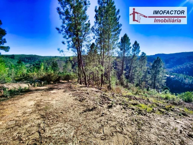 Terreno para Venda em Santo Andre das Tojeiras Foto 3