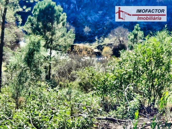 Terreno para Venda em Santo Andre das Tojeiras Foto 6