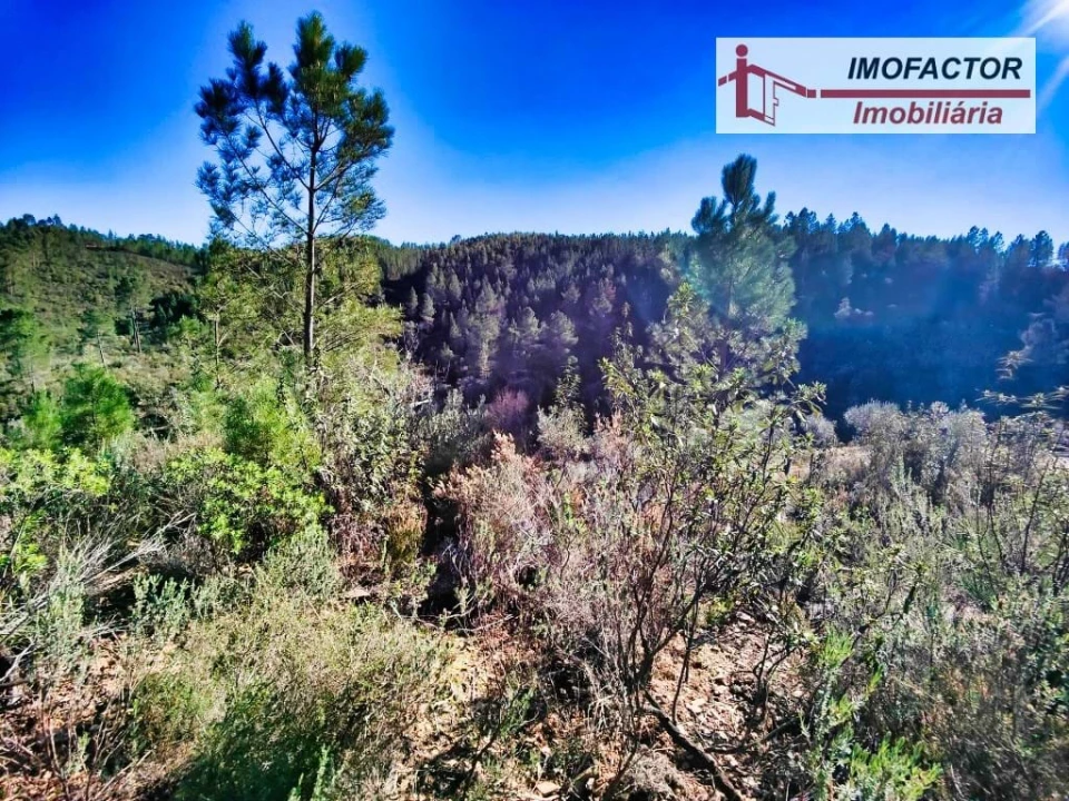 Terreno para Venda em Santo Andre das Tojeiras Foto 9