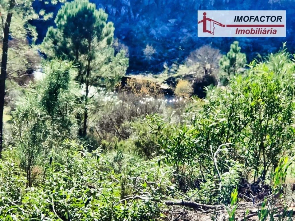 Terreno para Venda em Santo Andre das Tojeiras Foto 6