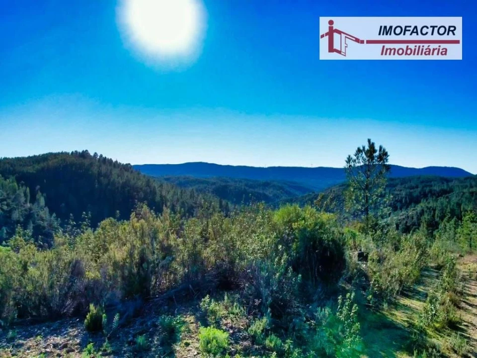 Terreno para Venda em Santo Andre das Tojeiras Foto 4