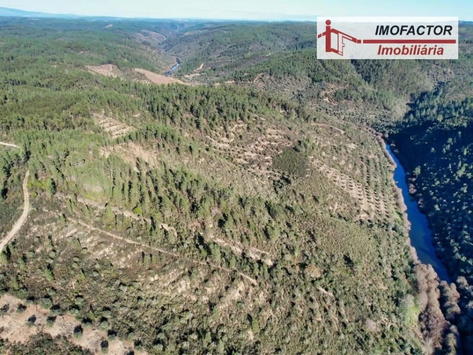 Terreno para Venda em Santo Andre das Tojeiras Foto 7