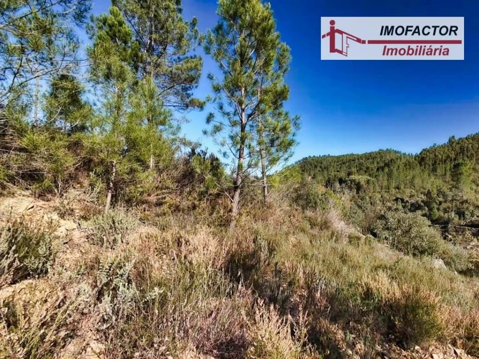 Terreno para Venda em Santo Andre das Tojeiras Foto 9