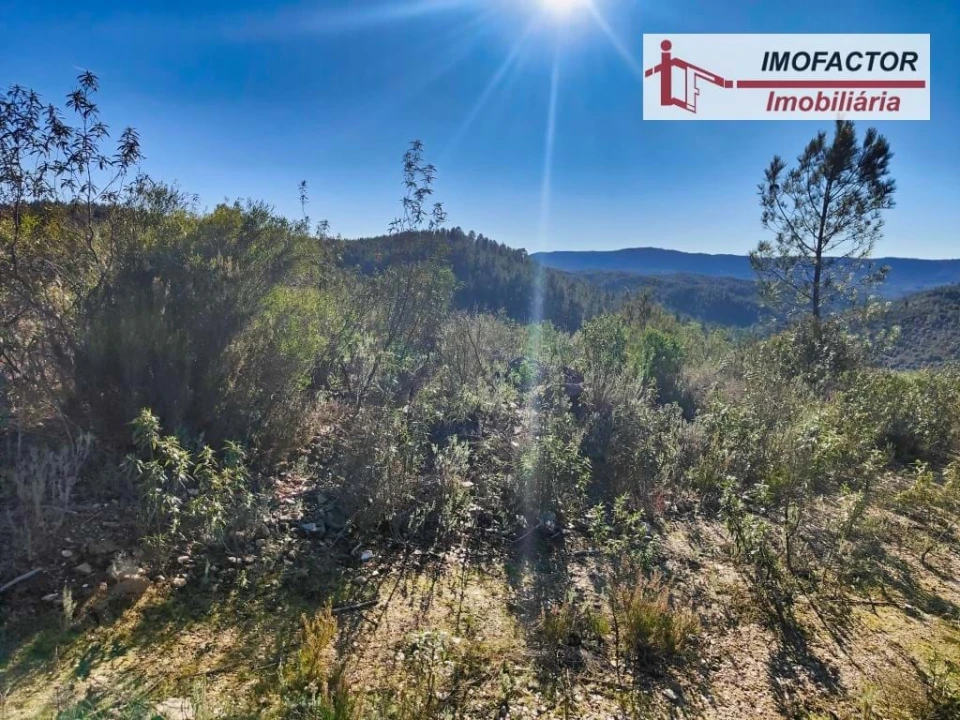 Terreno para Venda em Santo Andre das Tojeiras Foto 12