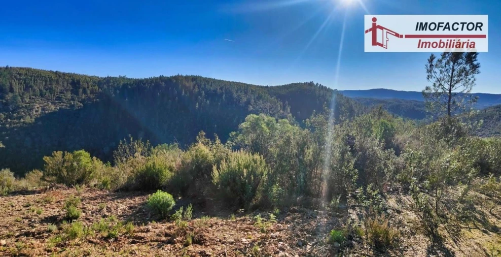 Terreno para Venda em Santo Andre das Tojeiras Foto 14