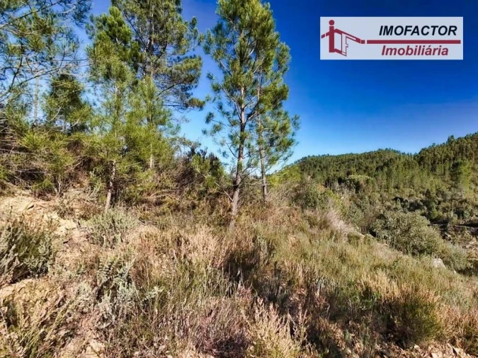 Terreno para Venda em Santo Andre das Tojeiras Foto 9