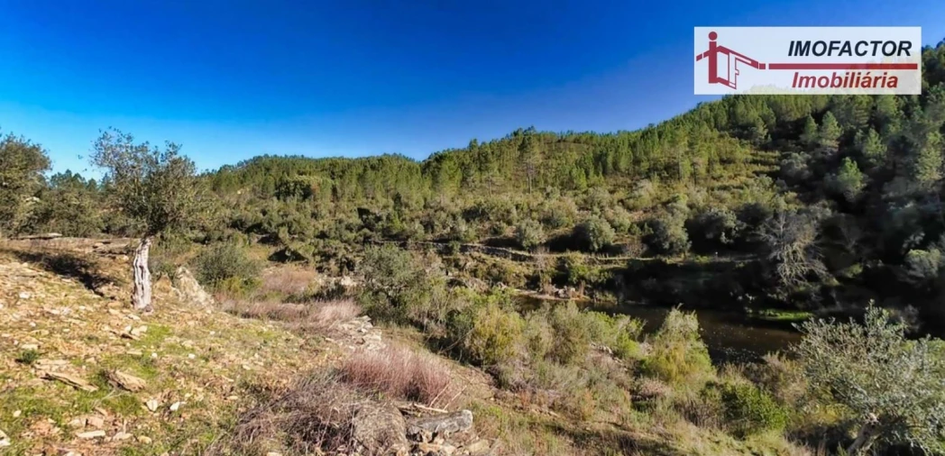 Terreno para Venda em Santo Andre das Tojeiras Foto 13