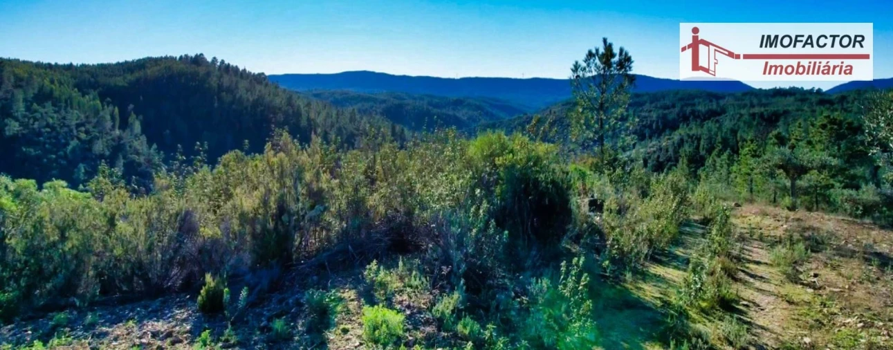 Terreno para Venda em Santo Andre das Tojeiras Foto 15