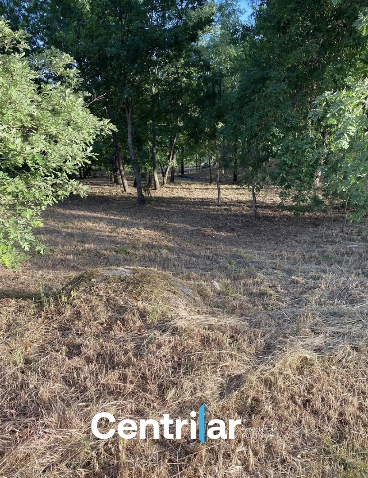 Terreno Misto para Venda em Mangualde, Mesquitela e Cunha Alta Foto 3