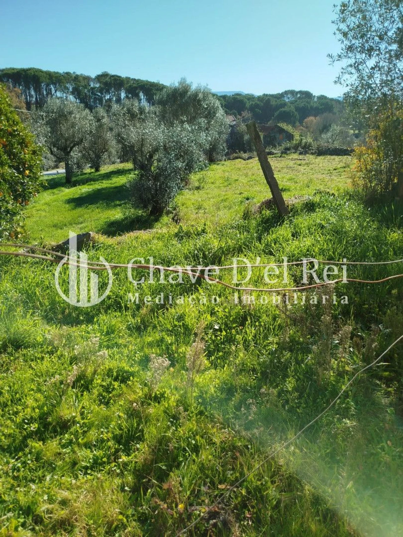 Quinta T3 para Venda em Espinho Foto 3