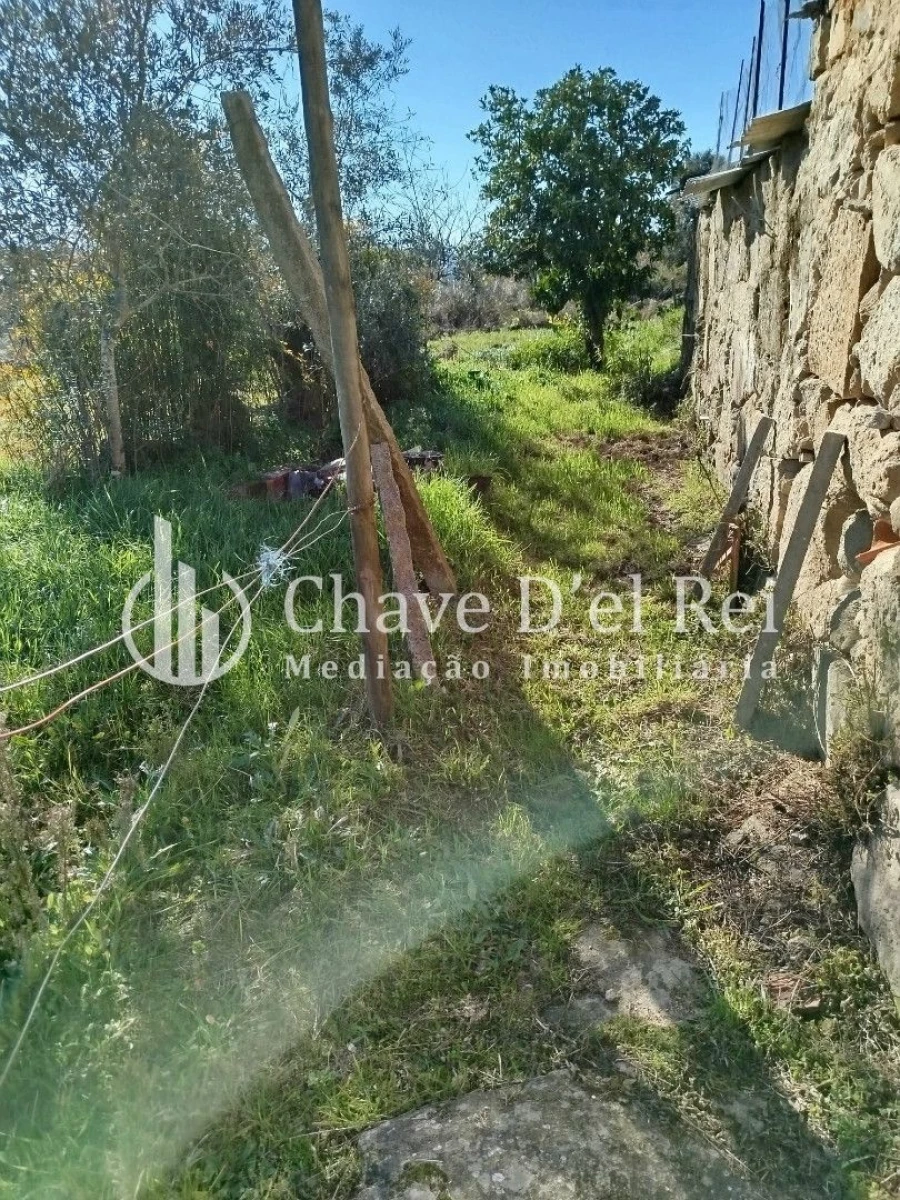 Quinta T3 para Venda em Espinho Foto 40