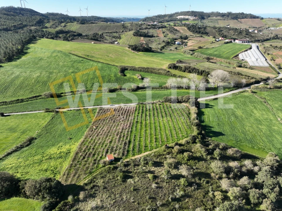 Terreno Agricola ou Rústico para Venda em Freiria Foto 2