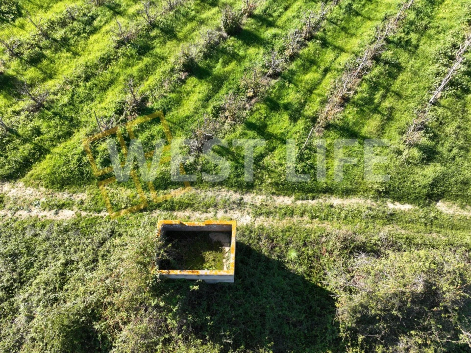 Terreno Agricola ou Rústico para Venda em Freiria Foto 12