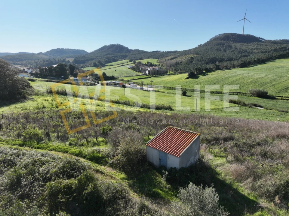 Terreno Agricola ou Rústico para Venda em Freiria Foto 16