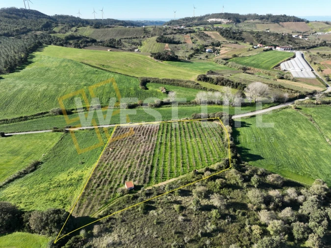 Terreno Agricola ou Rústico para Venda em Freiria Foto 7