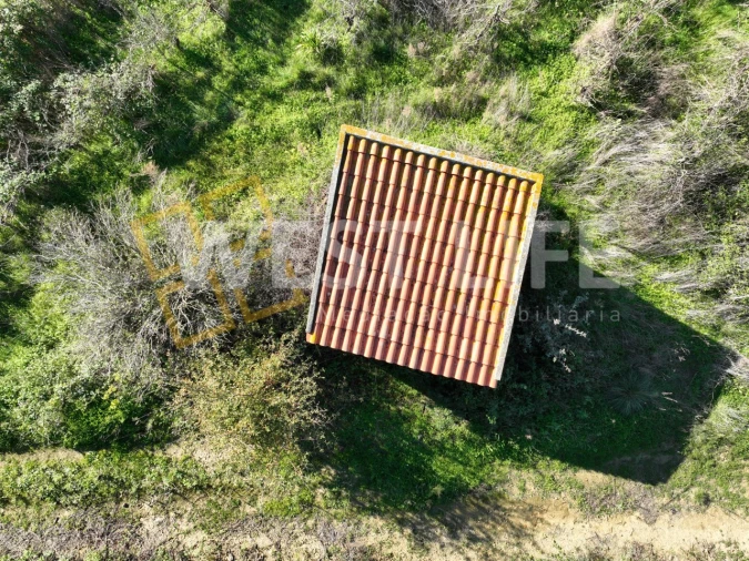 Terreno Agricola ou Rústico para Venda em Freiria Foto 13