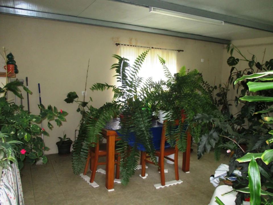 Moradia T4 para Venda em Marvila, Ribeira Santarém, São Salvador, São Nicolau Foto 34