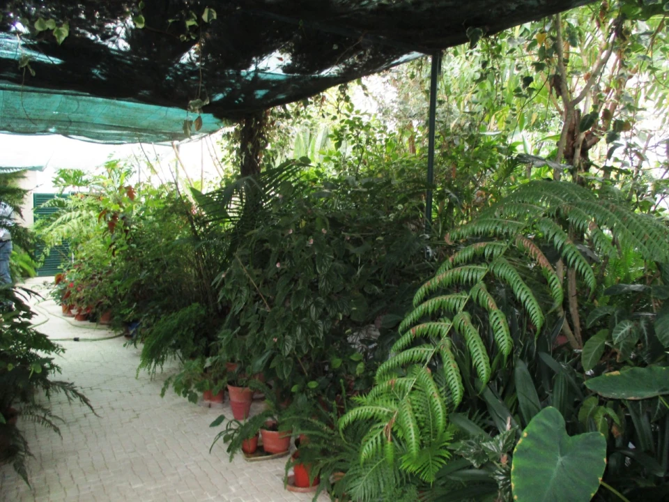 Moradia T4 para Venda em Marvila, Ribeira Santarém, São Salvador, São Nicolau Foto 37