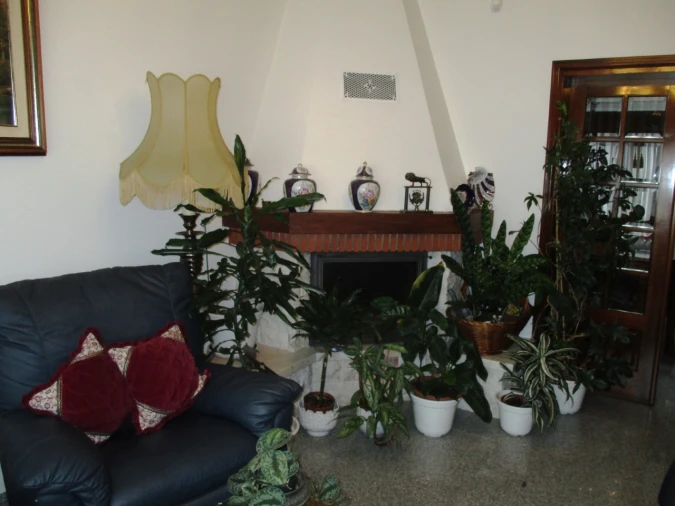 Moradia T4 para Venda em Marvila, Ribeira Santarém, São Salvador, São Nicolau Foto 9