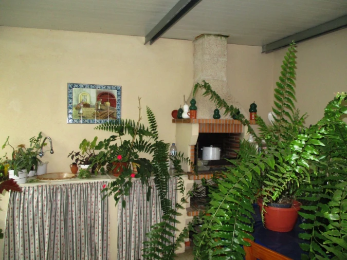 Moradia T4 para Venda em Marvila, Ribeira Santarém, São Salvador, São Nicolau Foto 35