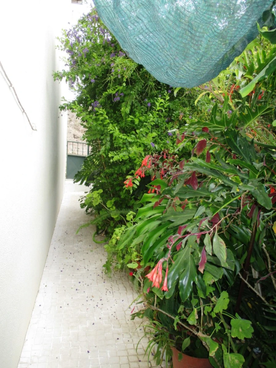 Moradia T4 para Venda em Marvila, Ribeira Santarém, São Salvador, São Nicolau Foto 36