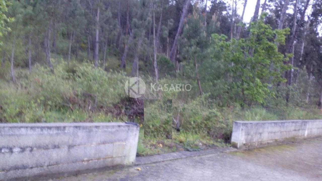 Terreno para Venda em Oliveira do Bairro Foto 2