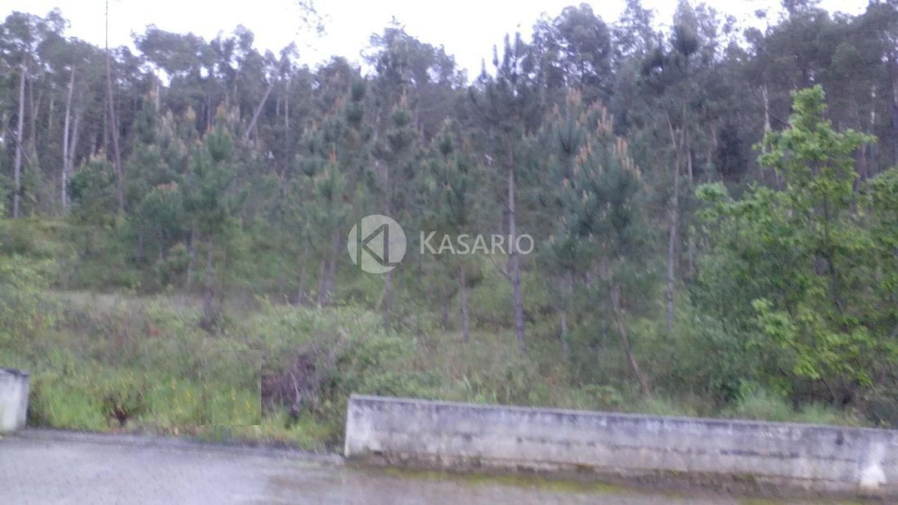 Terreno para Venda em Oliveira do Bairro Foto 3