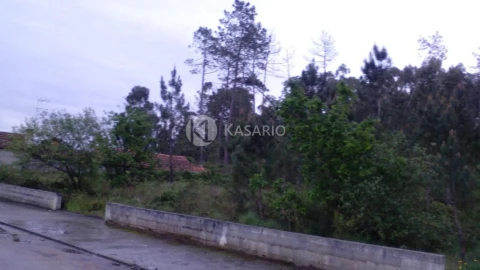 Terreno para Venda em Oliveira do Bairro