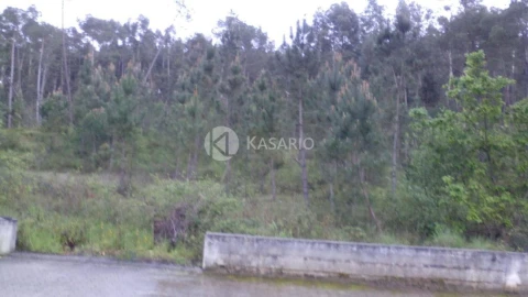 Terreno para Venda em Oliveira do Bairro
