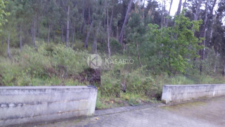 Terreno para Venda em Oliveira do Bairro Foto 2