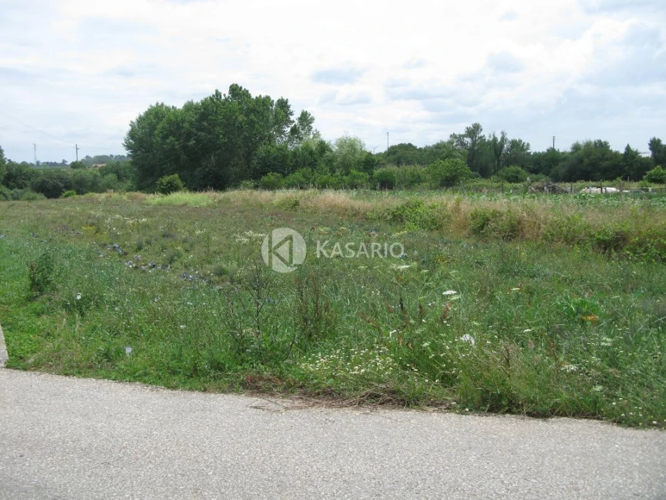 Terreno Agricola ou Rústico para Venda em Oliveirinha Foto 3