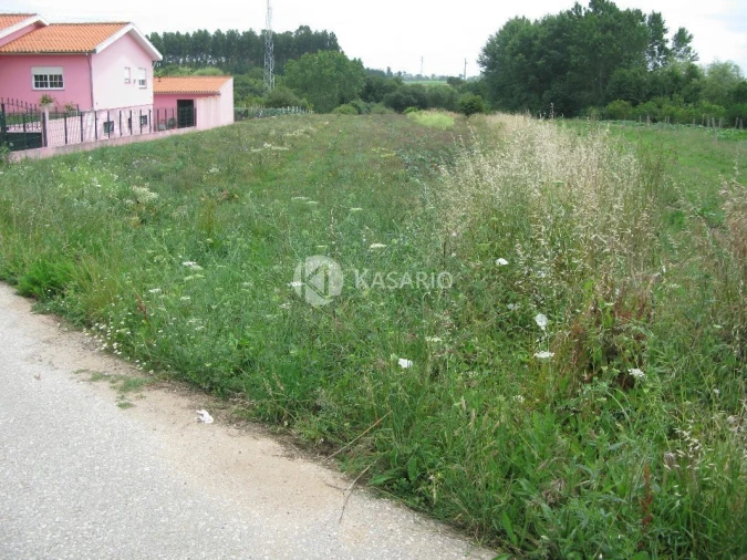 Terreno Agricola ou Rústico para Venda em Oliveirinha Foto 2