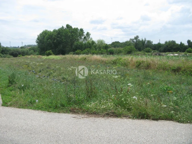 Terreno Agricola ou Rústico para Venda em Oliveirinha Foto 3
