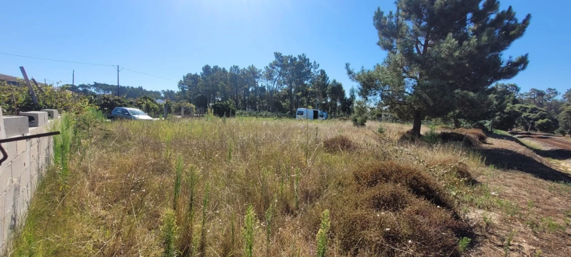 Terreno para Venda em Monte Redondo Foto 2