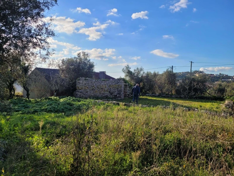 Moradia T2 para Venda em Alqueidão da Serra Foto 4