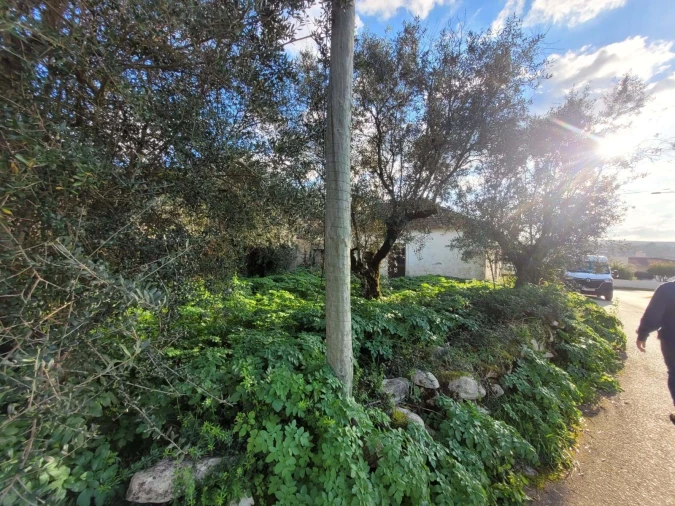 Moradia T2 para Venda em Alqueidão da Serra Foto 6