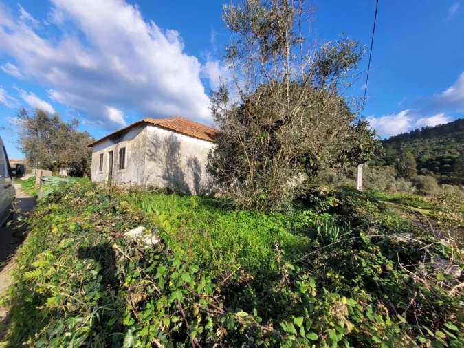 Moradia T2 para Venda em Alqueidão da Serra Foto 5