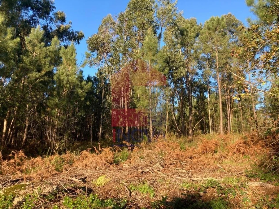 Terreno para Venda em Cervães Foto 21
