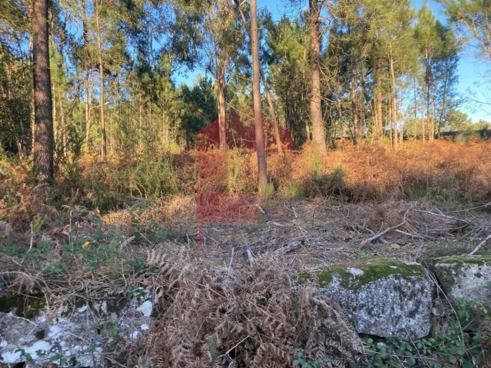 Terreno para Venda em Cervães Foto 11