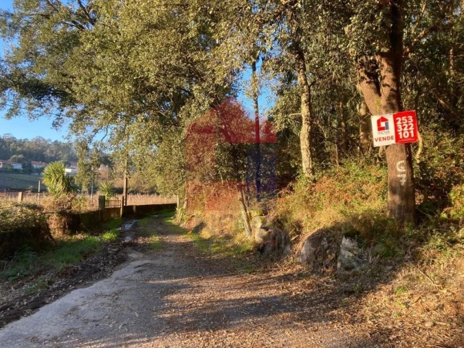 Terreno para Venda em Cervães Foto 9
