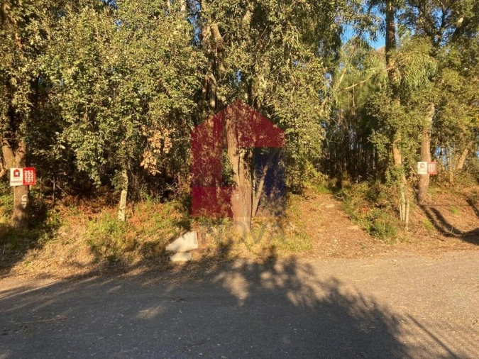 Terreno para Venda em Cervães Foto 1